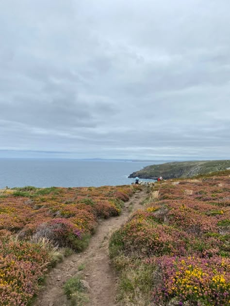 Autumn walks,cornwall,cosy Beach In Autumn, Fall Beach Aesthetic, Autumn By The Sea, Cosy Autumn Aesthetic, Living In Cornwall, Uk Seaside Aesthetic, Cornwall Aesthetic, Cornwall Aesthetic Surfing, Cornwall In Autumn