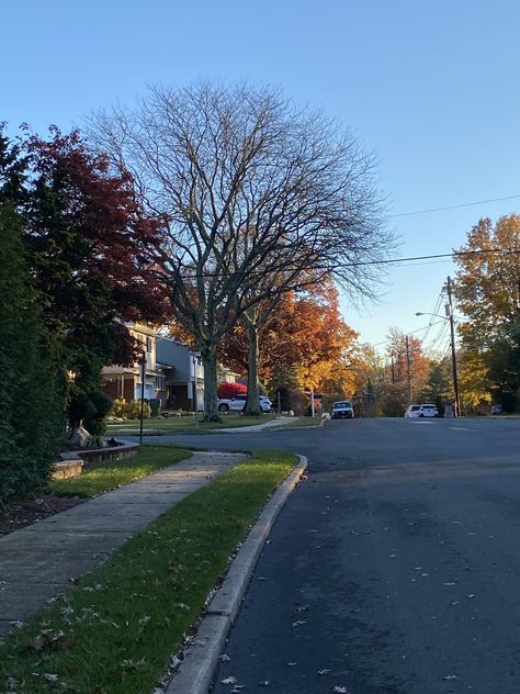 Neighborhood Background, Suburb Neighborhood Aesthetic, Neighbourhood Aesthetic, Neighborhood Aesthetic, Nice Neighborhood Aesthetic, American Neighborhood Aesthetic, Perfect Neighborhood Aesthetic, Usa Neighborhood Aesthetic, Sunset Neighborhood Aesthetic