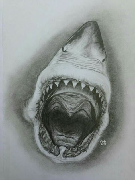 Great White Shark Sketch, Shark Pencil Drawing, Sea Animals Drawing Realistic, Shark Mouth Drawing, Shark Jaw Drawing, Shark Drawing Sketches, Shark Mouth Tattoo, Jaw Drawing, Sharks Mouth