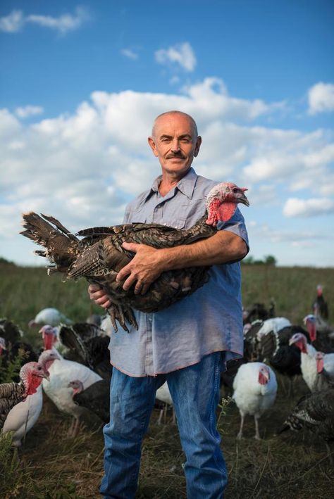 Our Favorite Photos of the Food We Eat, From Plow to Plate Farmer Photo, Turkey Farm, Chicken Farmer, Simple Nutrition, Did You Eat, Shooting Photo, Historical Architecture, Antique Photos, Nutrition Tips