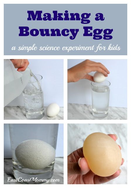 Bouncy Egg, Vetenskapliga Experiment, Science Experience, Science Experiment For Kids, Experiment For Kids, Rainy Summer, Diy Science Experiments, Science Experiments For Preschoolers, Simple Science