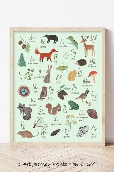 This printable woodland alphabet is sure to add a statement to your nursery decor or child bedroom. It features 26 detailed and beautiful hand-painted watercolor woodland illustrations. Nursery Decor Gender Neutral, Woodland Alphabet, Woodland Illustration, Watercolor Woodland, Child Bedroom, Woodland Animal Prints, Woodland Nursery Decor, Neutral Nursery, Alphabet Poster