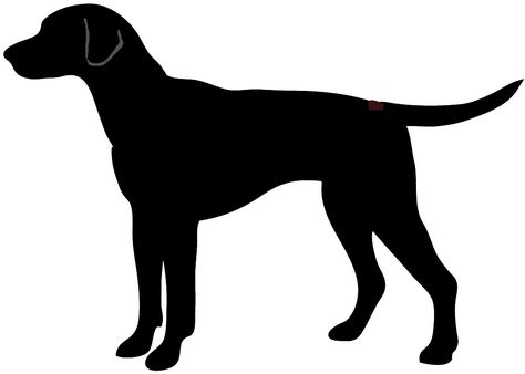 Dog Silhouette Dalmatian Clipart, Dog Stencils, Picture Outline, Dogs Silhouette, Different Types Of Dogs, Mutt Dog, Puppy Clipart, Dog Outline, Dog Clip Art