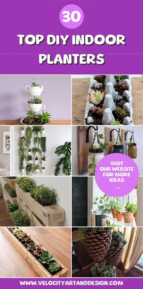 Recycled indoor planter ideas bring life to old materials, creating eco-friendly and attractive homes for plants that brighten any interior. Indoor Planter Ideas, Indoor Planter, Planter Ideas, Indoor Planters, Best Diy, Fun Diys, Diy Ideas, Recycling, Eco Friendly