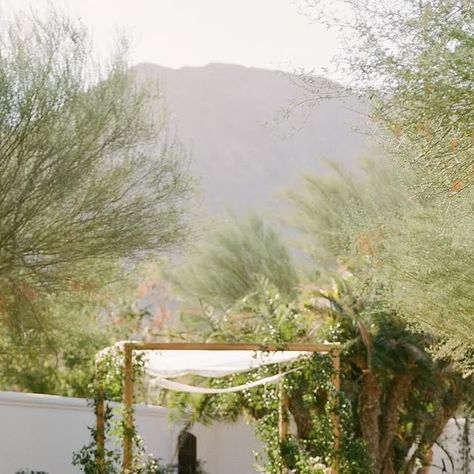 rachael ann lunghi on Instagram: "RECAP 2023 // S+D CEREMONY -an October day in Palm Desert for sweety @sidney.eisner - with our gal @array_creative_design // captured by dreamiest @kellybrownphoto.
.
#sirenfloralco" Palm Desert, Creative Design, Wedding Inspiration, On Instagram, Instagram, Design