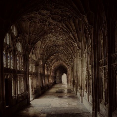 Hogwarts Hallway, Dark Hogwarts Aesthetic, Magic School Aesthetic, Hogwarts Aestethic, Hogwarts Visuals, Hogwarts Shifting, Hogwarts Professors, Harry Potter Girl, Hogwarts Dr