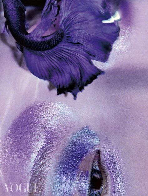 'Purple Is the New Black' by Liu Zongyuan for Vogue China — Anne of Carversville China Anne, Fashion Fantasy, Vogue China, Purple Fashion, Fantasy Fashion, May 22, Magazine Cover, New Black, Cool Photos