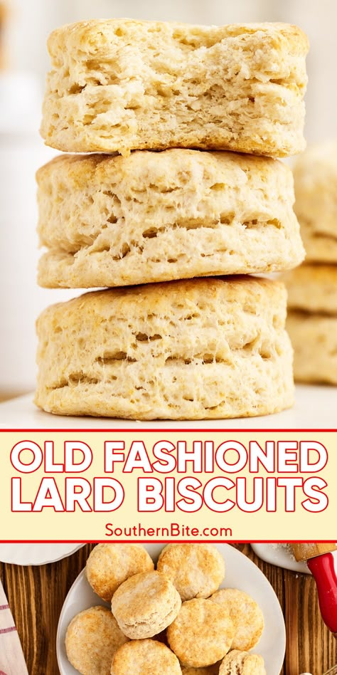 Old Fashioned Lard Biscuits Lard Biscuits, 7 Up Biscuits Recipe, 7 Up Biscuits, 7up Biscuits, Cork House, Biscuits Homemade, Southern Buttermilk Biscuits, Frozen Biscuits, Novice Chef