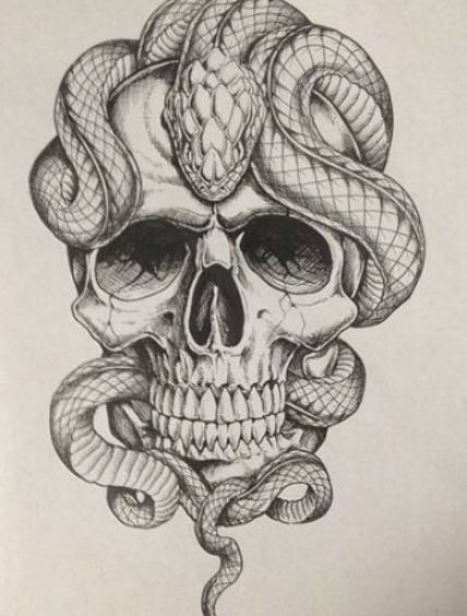 55+ Ideas tattoo snake skull art #tattoo Snake Sketch, Tattoo Fairy, Snake Skull, Skull Art Tattoo, Tattoo Snake, Kunst Tattoos, Snake Tattoo Design, Tattoos For Women Flowers, Lion Tattoo Design