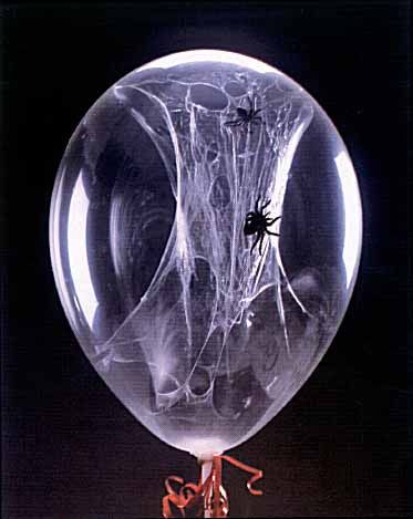 how to make spider web balloons. This is kinda cool. Would be really cool for Halloween How To Make Spiders, Dekorasi Halloween, Uhyggelig Halloween, Halloween Decor Diy, Halloween Memes, Diy Halloween Decor, Spiderman Party, Adornos Halloween, Halloween Time