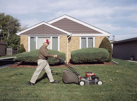 American Suburbs, Suburban Gothic, Lemon Demon, 동화 삽화, Neighborhood Watch, William Eggleston, Little Shop Of Horrors, Retro Baby, Sofia Coppola