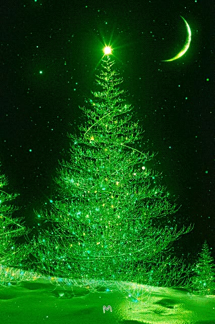 Christmas Tree Gif, Animated Christmas Tree, Christmas Greetings Quotes, Beautiful Christmas Scenes, Winter Christmas Scenes, Christmas Wallpaper Free, Christmas Tree Pictures, Merry Christmas Gif, Merry Christmas Wallpaper