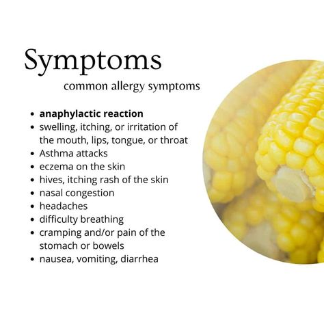 Corn Allergy: What to Eat and What to Avoid - Living Beyond Allergies Corn Allergy, Vegetable Gravy, What Can I Eat, Pork N Beans, Reading Food Labels, Asthma Attacks, Allergy Symptoms, Baking Mixes, Cheese Spread