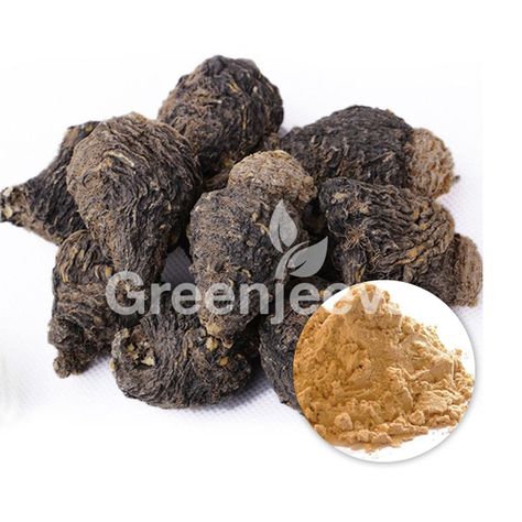 Black maca constitutes essential minerals and vitamins like A, C, B1, B2, B3, fatty acids, amino acids, zinc, iron, magnesium, etc. As a result, it has a positive effect on memory, muscle growth, and also boosts endurance. It seems to provide more stamina and strength. Buy maca powder for weight gain from Greenjeeva. Black Maca, Maca Powder, Parts Of A Plant, Muscle Growth, Hormone Balancing, Dietary Fiber, Calorie Diet, Fatty Acids, Saturated Fat