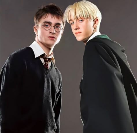 Harry Potter Draco, Koleksi Parfum, Desenho Tom E Jerry, Harry Draco, Hp Harry Potter, Harry Potter Ron, Images Harry Potter, Draco Harry Potter, Harry Potter Draco Malfoy