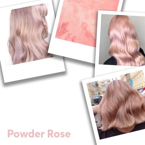 Powder Rose Hair Color Formulas | Wella Professionals Titanium Rose Wella, Rose Gold Formula, Haircolor Formulas, Wella Color Charm Toner, Beige Hair Color, Rose Gold Hair Blonde, Rose Hair Color, Light Pink Hair, Wella Color Charm