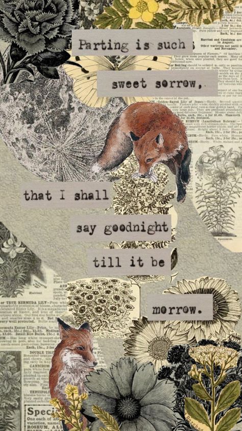 good bit of shakespeare to end the day :) #vintage #shakesphere #shakespeare #foxes #flowerart #quote Shakespeare Aesthetic Art, Shakespeare Aesthetic, Shakespeare In Love, Nature Quotes, Old Books, Your Aesthetic, Aesthetic Art, Flower Art, Lion