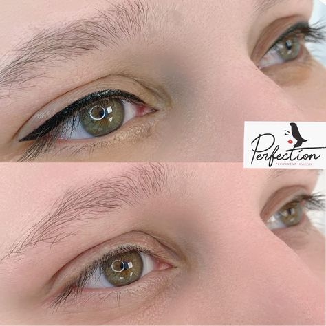 Extra thick top Eyelashliner, performed by Advanced artist.👍👍👍 一一一一一一一一一一一一一一一一 Bookings ⠀ ☎️: 443-935-8030 ⠀ 💻: https://perfectionpermanentmakeup.com 一一一一一一一一一一一一一一一一 #eyelinerpermanentmakeup #cosmetictattoos #tattooartist #eyelinertattoo #dcmicroblading #summermakeuplook #permanantmakeup #mdmicroblading #tattooeyeliner #microbladingarlington #microbladingva #2022microblading #permanentmakeupmd #eyelinermicropigmentation Top Eyeliner, Eyeliner Tattoo, Permanent Makeup, Eyeliner, Nose Ring, Tattoos, Makeup, Make Up