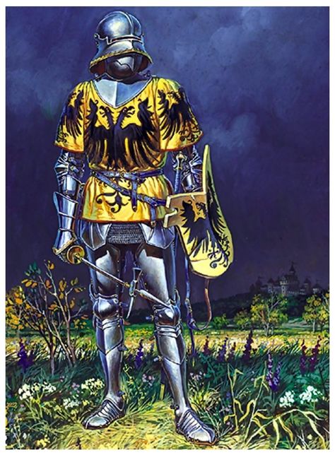 German Knight, Salem Va, Medieval Germany, Warriors Illustration, Crusader Knight, Ancient Armor, Holy Roman Empire, Historical Armor, Late Middle Ages