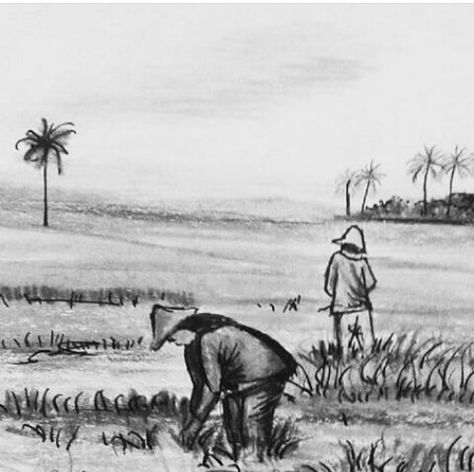 Farmer   by Art HR Farmer Drawing Sketch, Sketch Landscape, Cool Pencil Drawings, Poster Drawing, Impressionism Art, Pictures To Draw, Impressionism, Drawing Sketches, Agriculture