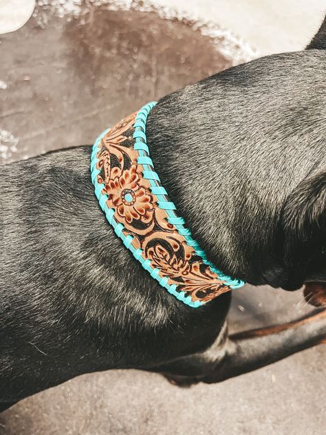 Small: 10-14” Medium: 14-18” Large: 18-22” Horse Stuff Western, Western Dog Stuff, Western Dog Accessories, Western Leather Dog Collar, Tooled Leather Dog Collar, Barrel Racing Tack Rodeo, Turquoise Dog Collar, Western Dog Collars, Cool Dog Collars