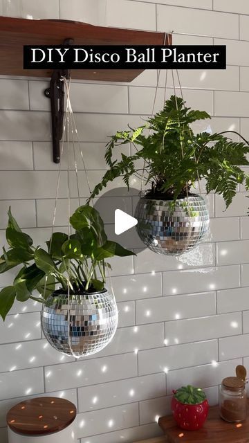 Sheri Wilson on Instagram: "DIY Disco Ball Planters 🪩🪴 the cutest addition to any space and so easy to make! Just make sure to use a hollow disco ball for this project (I found these on amazon)  Small disco balls (hollow inside) Small potted plants Plant hangers  1. Use a bowl the same size as your plant to measure the size of the hole you’ll need to make. Mark around the bowl with a marker. 2. Remove the tiles along the line you marked, then cut off the top of the disco ball with a box cutter. 3. Poke a hole in the bottom of the disco ball for drainage. 4. Place a plant inside the disco ball, then hang in an area with lots of direct sunlight for the most sparkle!  -remove from the planter to water for best results   #diy #discoball #planter #diyplanter  #summerdiy #amazonsummerfinds #mi Diy Disco Ball Planter, Diy Disco Ball Decor, Hanging Disco Balls, Disco Planter, Sheri Wilson, Disco Ball Planter, Diy Disco Ball, Diy Wall Planter, Studio Vibes