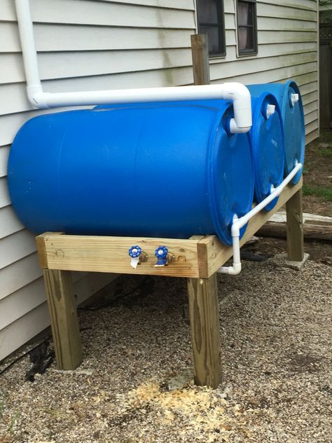 Diy Water Storage, Water Tank Ideas Home, Rain Barrel Ideas, Rain Collection System, Rain Barrel Stand, Rain Barrel System, Barrels Diy, Rain Catcher, Water Collection System