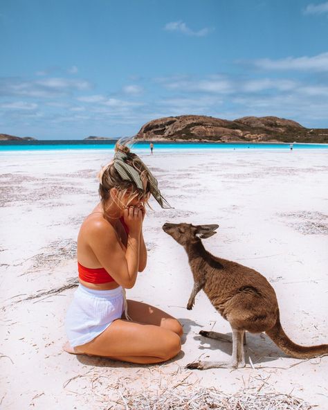 Australia Bucket List, Australian Beach, Tasmania Australia, Visit Australia, Smile Food, Beaches In The World, Fun Style, Nature Girl, Summer Art