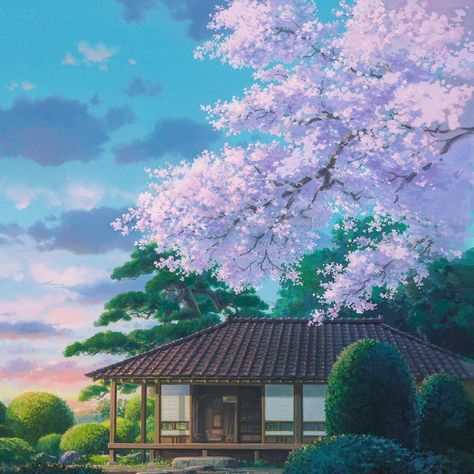 Studio Ghibli UK posted on Instagram: “It’s Sakura season but as we’re all indoors let’s have a stay at home Hanami party 🌸 do you…” • See all of @ghibliuk's photos and videos on their profile. Studio Ghibli Stars, Ghibli Stars, Japan Village, The Wind Rises, Stars Aesthetic, Asian Wallpaper, Wind Rises, Studio Ghibli Background, Studio Ghibli Art