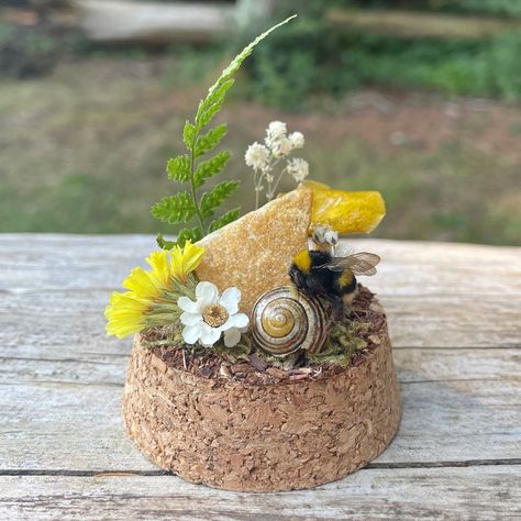 (available) just a lil bumble 🐝 these smaller globe domes are the CUTEST size 😭 this beauty is resting on a snail shell, surrounded by hand preserved moss, lichen, florals (some grown by my nan!), fern leaves, a crystal + an ‘everlasting’ real preserved mushroom. I’m trying to use a few more colours in my work; so here’s a yellow theme 🌻💛🌼🌙 #bumblebee #bombus #entomology #entomologist #entomologyart #oddityart #odditiesandcuriosities #vultureculture #bugtaxidermy #insectpinning #insectlo... Entomology Display, Bug Taxidermy, Entomology Art, Shell Display, Oyster Mushroom, Insect Collection, Yellow Theme, Fern Leaves, Snail Shell