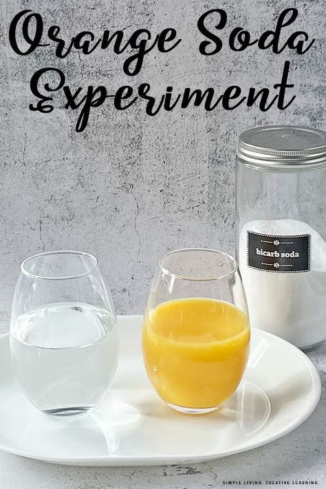 This fun and exciting orange soda experiment is a great way to teach children about states of matter using orange juice, water and bicarbonate of soda. Science Printables, Study Craft, How To Make Orange, Matter Science, Bicarbonate Of Soda, States Of Matter, Orange Soda, Creative Learning, Science Experiments Kids