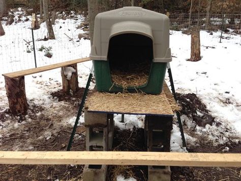 Turkey Roost / Shelter / Coop Help Diy Turkey Nesting Boxes, Turkey Nesting Boxes, Turkey Shelter Ideas, Turkey Roost Diy, Turkey Nesting Box Ideas, Pallet Turkey Coop, Turkey Feeders Diy, Turkey Shelter, Turkey Roost Ideas