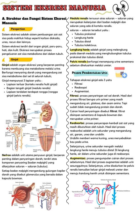 Medical School Essentials, Medical Anatomy, School Essentials, Medical School, Ipa, Anatomy, Physics, Medical, Quick Saves