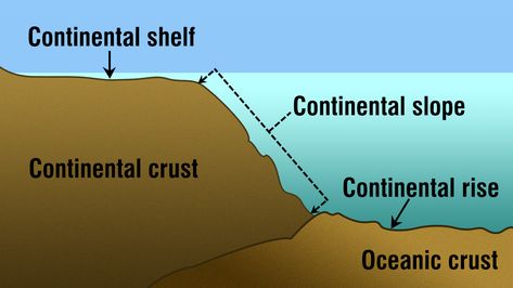 Continental Slope Continental Shelf, Some Interesting Facts, The Continental, Biome, The Marine, Plant Shelves, All About Plants, Earth Science, Interesting Facts