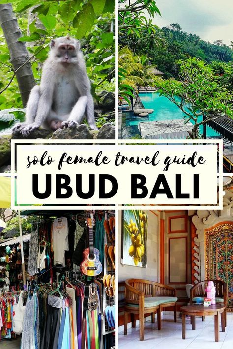 Ubud is the perfect destination for a solo female traveller as it offers the perfect mix between adventurous and relaxation activities as well as the opportunity to indulge in cultural traditions and meet the local animals! From shopping to infinity pools, Ubud has it all! #bali #indonesia #asia #solofemaletravel #budgettravel #backpacking Relaxation Activities, Female Traveller, Cultural Traditions, Infinity Pools, Luxury Swimming Pools, Bali Vacation, Sweden Travel, Japan Travel Tips, Cultural Capital