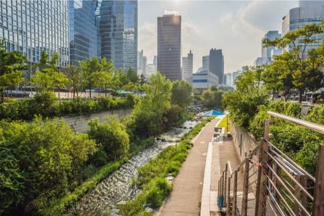 COP-26: Make Nature-Based Solutions a Top Adaptation Priority - Commentaries Climate Adaptation, Flood Protection, Urban Heat Island, Urban Design Plan, Extreme Weather Events, Urban Nature, Seoul South Korea, Local Area, Green Roof