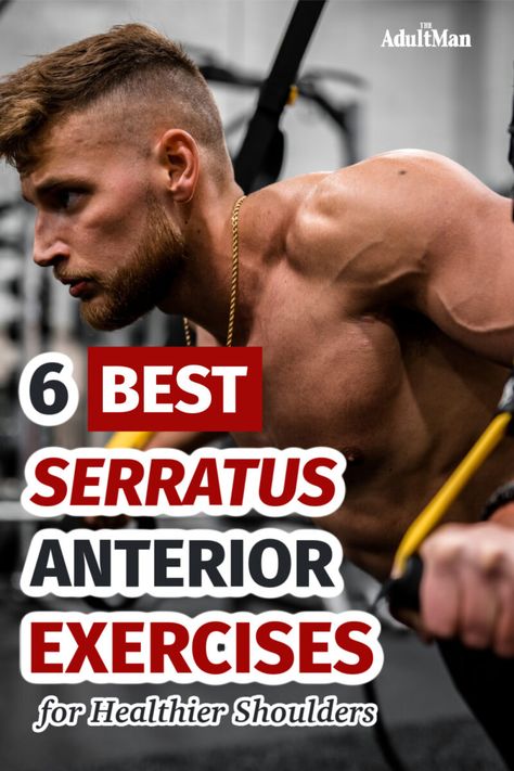 It's not called the boxer's muscle for nothing. These are six of the best serratus anterior exercises you can do to help them get healthy and stay that way. Seratus Anterior Muscle, Anterior Deltoid Exercises, Seratus Anterior Exercises, Anterior Workout, Serratus Exercises, Serratus Anterior Workout, Serratus Anterior Exercises, Serratus Anterior Muscle, Lats Workout