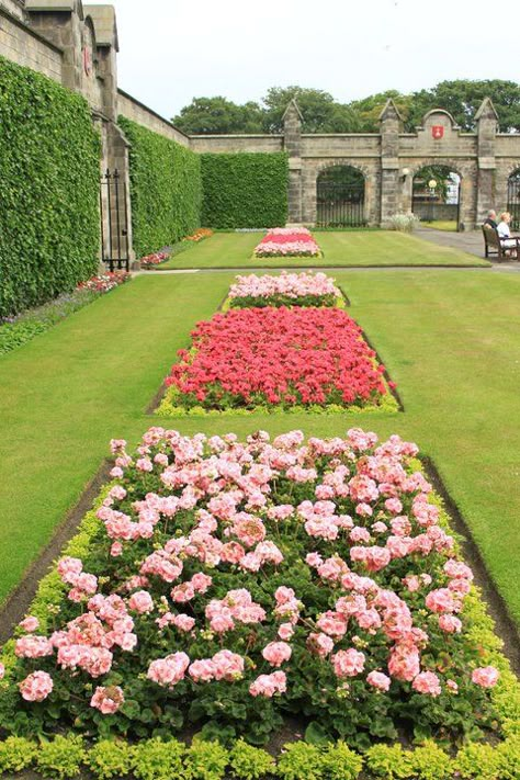 bed of roses... Acreage Landscaping, Landscaping Architecture, Rose Garden Landscape, Rose Garden Design, House Pics, Garden Flower Beds, Front Garden Design, Garden Wallpaper, Formal Garden