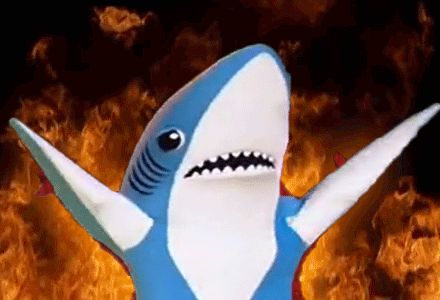 tumblr_nj4jg0Xu3Z1ry4nh5o1_500.gif (440×300) Shark Meme, Shark Gif, Shark Pfp, Left Shark, Legendary Dragons, Plenty Of Fish, Sharks Funny, Ll Cool J, Orca Whales