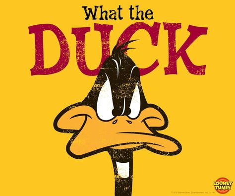 Daffy Duck Quotes, Looney Tunes Wallpaper, What The Duck, Looney Tunes Characters, Looney Tunes Cartoons, Classic Cartoon Characters, Daffy Duck, Funny Cartoon Quotes, A Duck