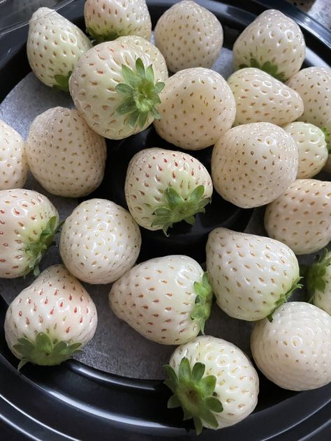 Pine Berries, White Strawberries, Aesthetic Strawberry, Pink Strawberries, Pink Cottagecore, Types Of Berries, White Fruit, Strawberry Hearts, White Strawberry