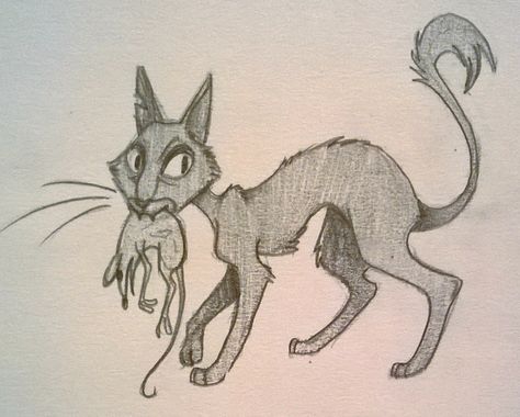 The cat from "Coraline." Cat From Coraline Drawing, Coraline Easy Drawings, Wybie Coraline Drawing, Cat From Coraline, Coraline Cat Drawing, Coraline Drawing Sketch, Coraline Cat Tattoo, Coraline Drawings, Coraline Drawing