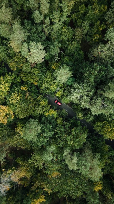 Drone Shot of a Car on an Asphalt Road Through a Green Forest · Free Stock Photo Fairy Creatures, Drone Shots, Asphalt Road, Shot Ideas, Car Driving, Green Forest, Red Car, Top Down, Top Photo