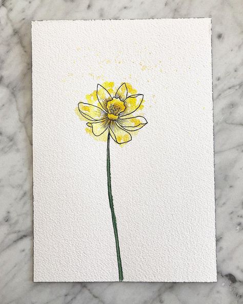 Linnea Broling on Instagram: “Daffodil 💛 Uni pin fineliners and White nights watercolor on Arches paper. . . . #watercolor #daffodil #påsklilja #akvarell #botanical…” Doodle Daffodil, Daffodil Drawing Watercolors, Drawing Of Daffodils, Watercolor Daffodils Easy, Dandelion Watercolor Painting Easy, Daffodil Watercolor Painting, Daffodil Line Drawing, Daffodil Flower Drawing, Daffodil Illustration