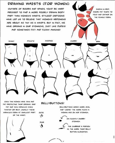 Basic Anatomy, Body Type Drawing, Reference Pics, Human Anatomy Drawing, Tootsie Roll, Body Reference Drawing, Anatomy Drawing, Manga Artist, Figure Drawing Reference