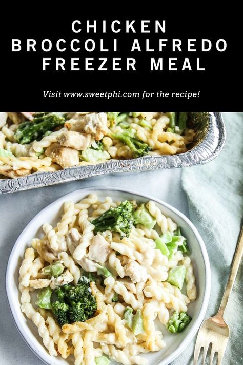 Alfredo Freezer Meal, Veggie Alfredo, Broccoli Alfredo Pasta, Postpartum Meals, Wisconsin Food, Chicken Broccoli Pasta, Chicken Freezer Meals, Chicken Broccoli Alfredo, Easy Family Dinner