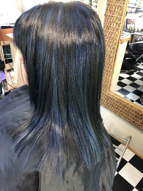 Dark Blue Hair With Highlights, Black And Navy Hair, Brown Hair With Navy Blue Highlights, Blue Hair No Bleach, Black And Blue Highlights Hair, Midnight Blue Skunk Stripe Hair, Blue Hair With White Highlights, Navy Blue Chunky Highlights, Black Hair With Blue Strands