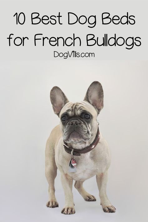 French Bulldog Bedroom Ideas, French Bulldog Must Haves, French Bulldog Care Tips, French Bulldog Accessories, Frenchie Essentials, Big Dog Toys, French Bulldog Breed, Working Dogs Breeds, Dog Organization