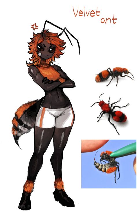 Moe Anthropomorphism, Matilda Fiship, Bug People, Monster Characters, Monster Concept Art, Creature Drawings, Fantasy Creatures Art, Mythical Creatures Art, Wow Art