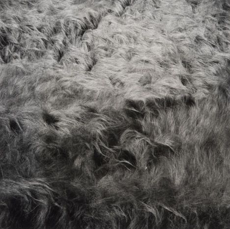 Harry Callahan / Georgia Mountains 1988 / Tate Modern Laura Makabresku, Straight Photography, Harry Callahan, Grass Hay, Edward Steichen, American Photography, Fine Art Landscape Photography, Georgia Mountains, Photography Artist